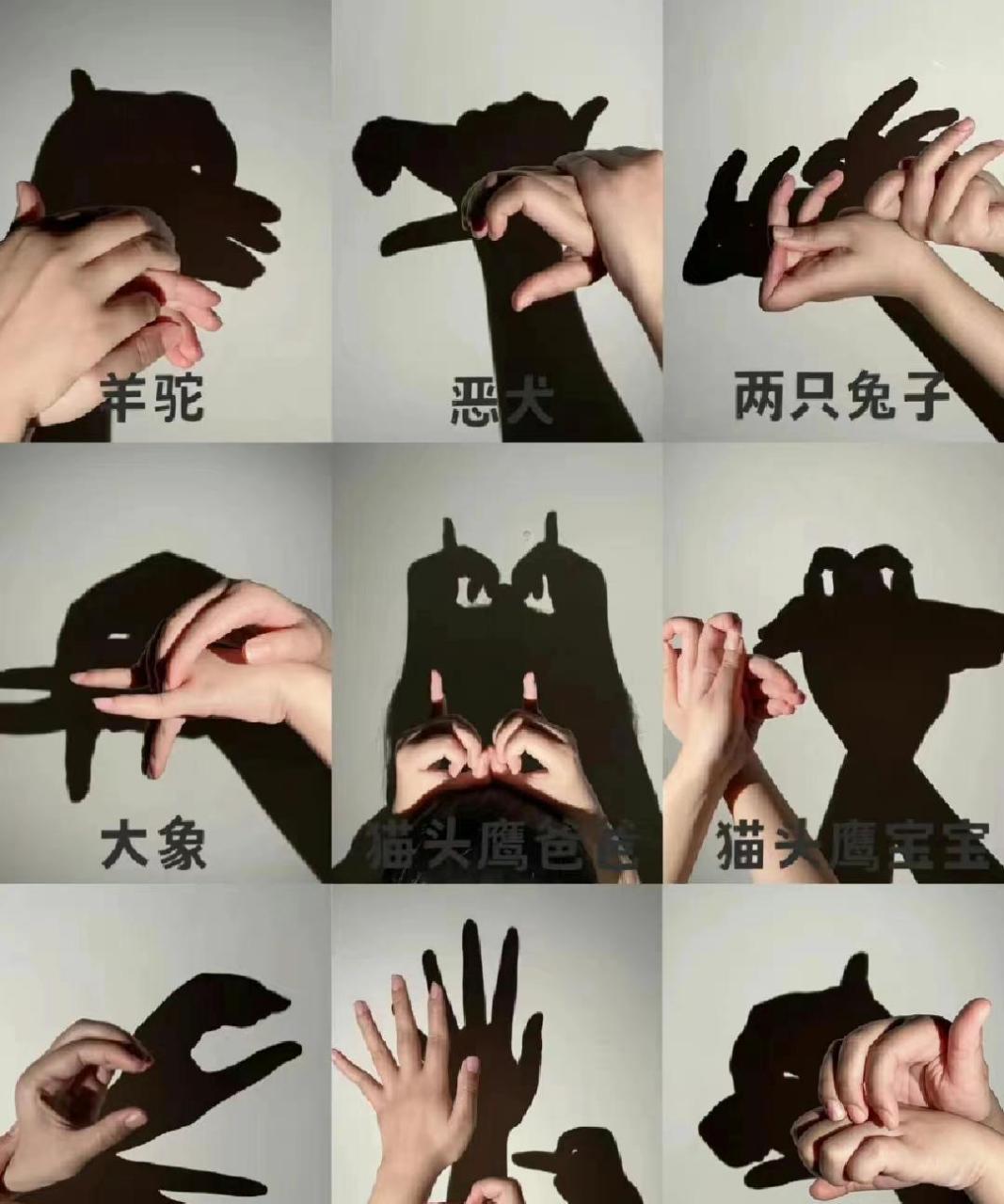 网友:这个有点创意,手影还可以这样玩. 67[good]