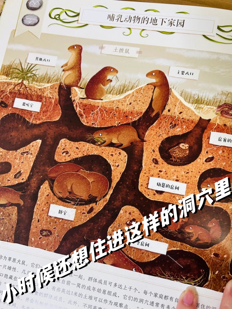 小时候还想住进这样的洞穴里