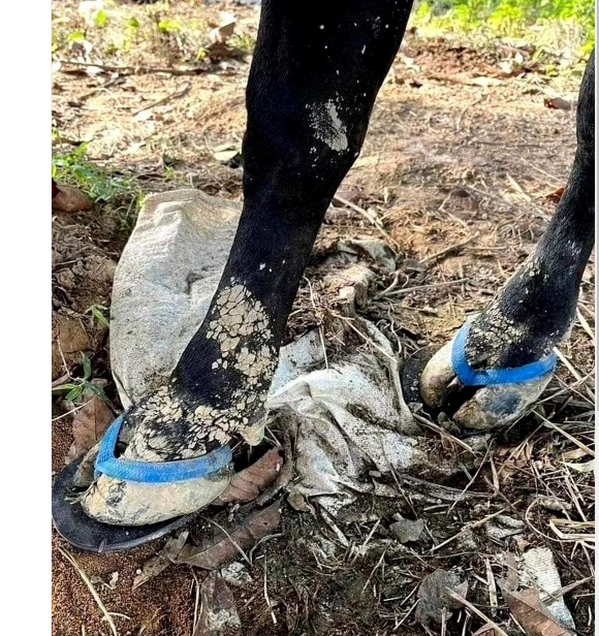 净整些没用的东西