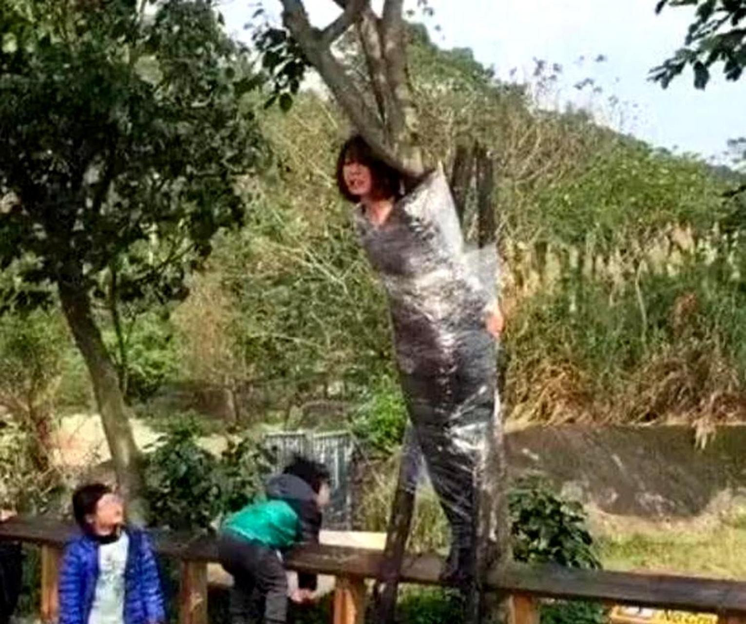 梦见被吊在树上，探索梦境中的束缚与解脱