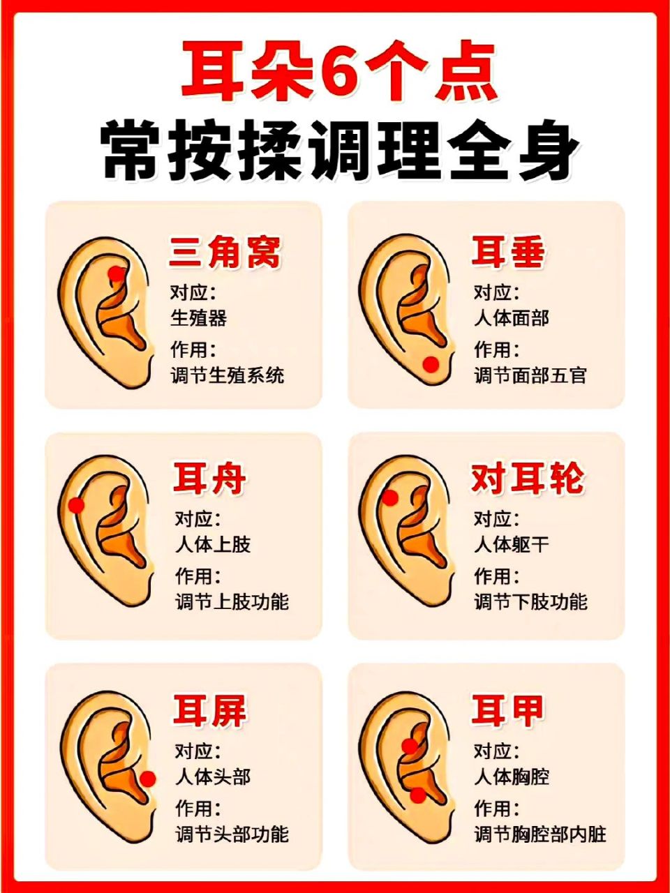 1,三角窝:滋阴养肾; 2,耳垂:养护五官; 3,耳舟:上肢不适; 4,对耳轮