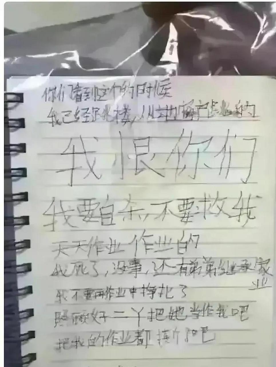 看到重庆两个女孩的遗书,我泪崩了.