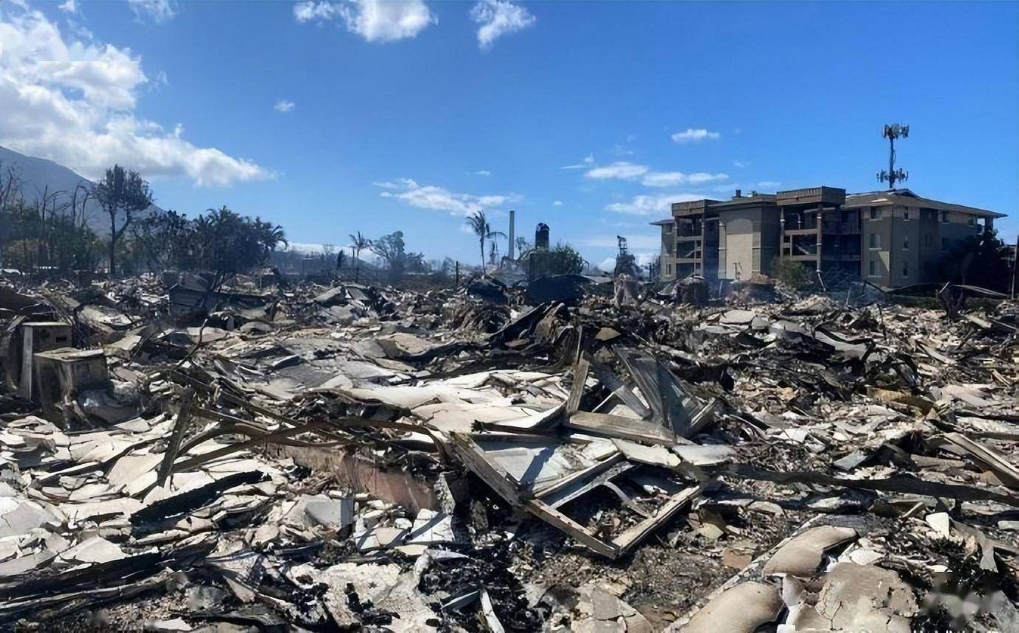 97最近,美国夏威夷群岛爆发了一场大火灾,引起了全球的关注.