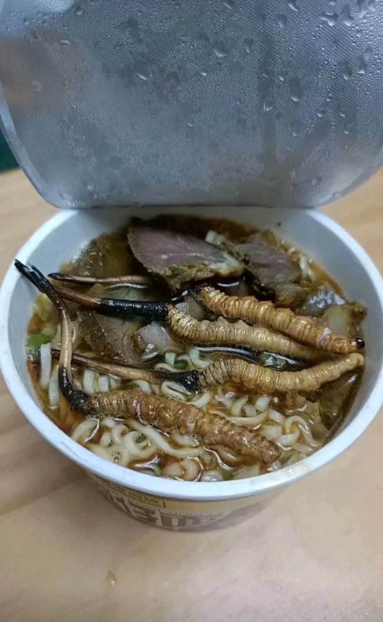 这款冬虫夏草泡面营养丰富[三哈]