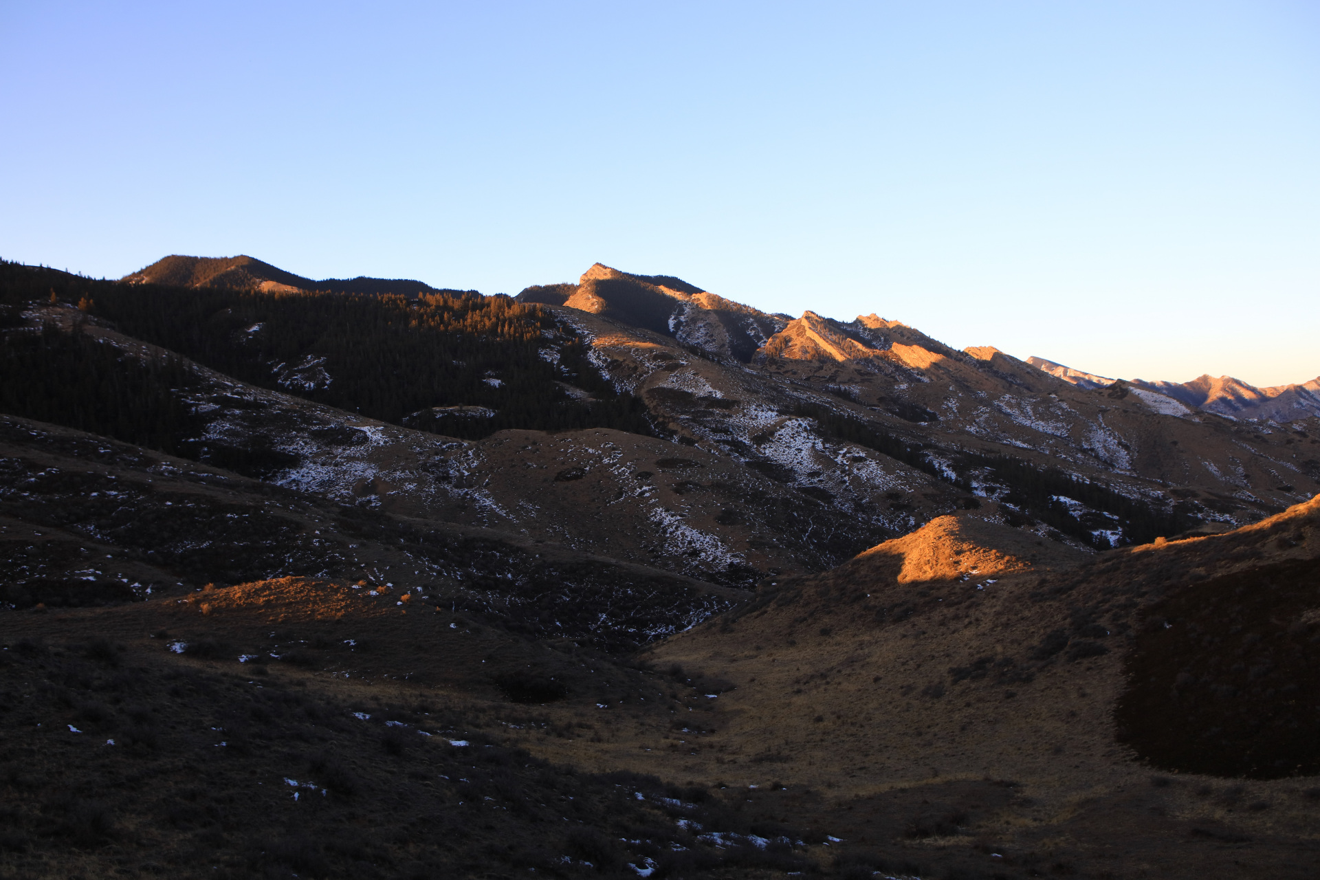 :冬日清晨,日出贺兰山,满山红黄,遍地成金