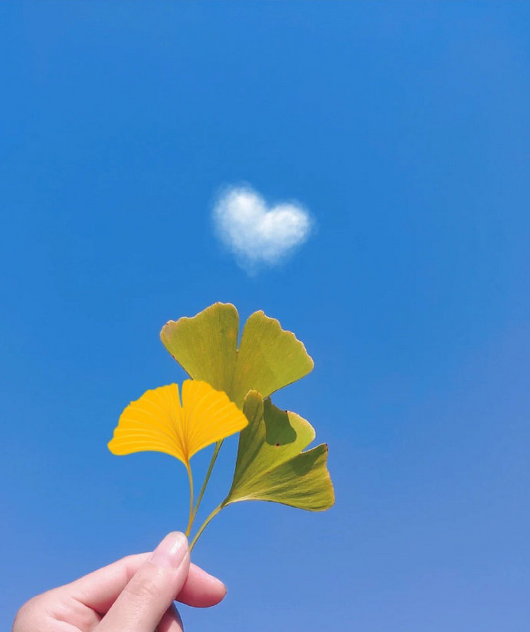 慢点也无妨,希望我们都是苦尽甘来的人.  !--{img:0}-->