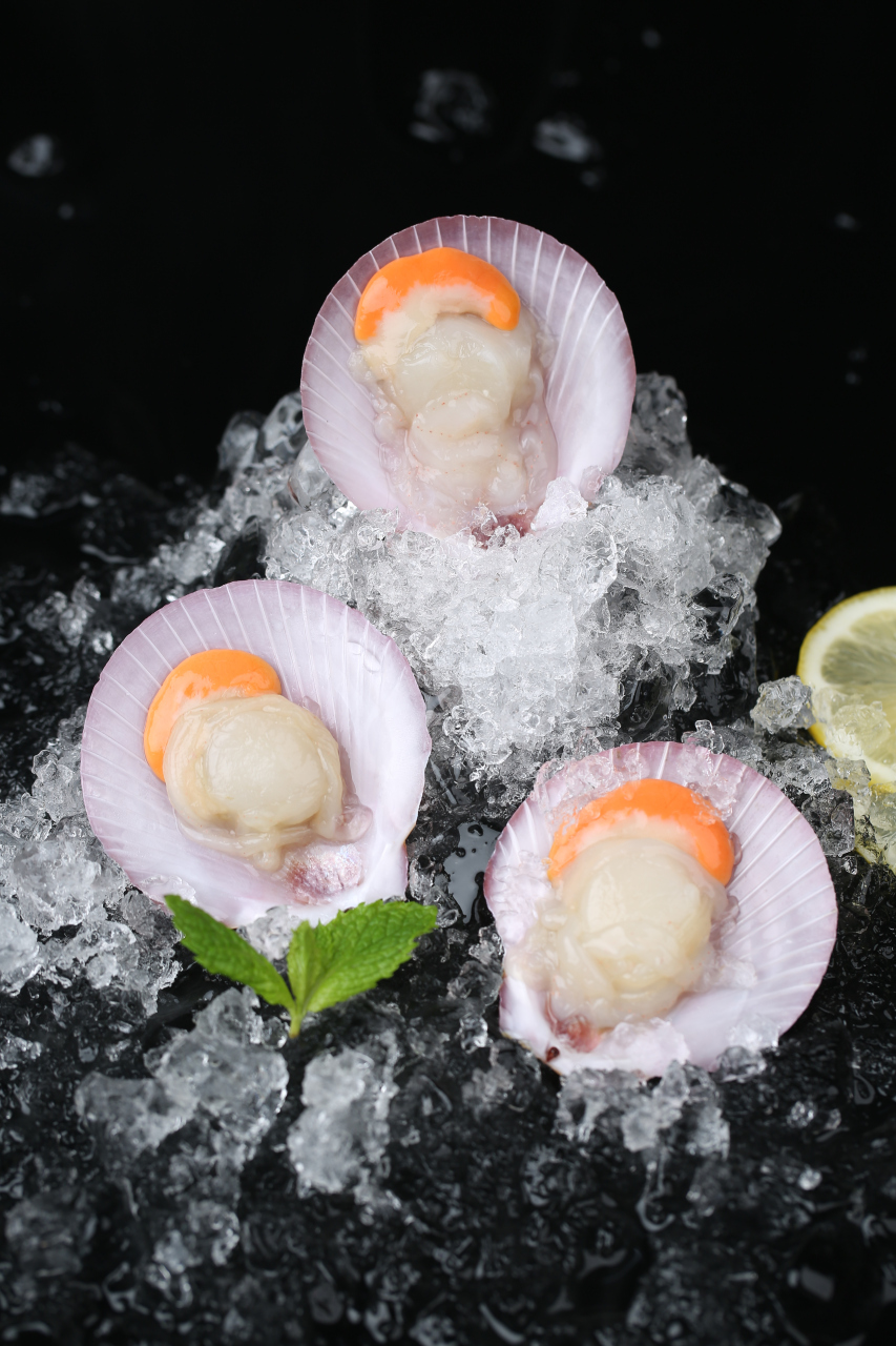 高颜值的日月贝,又叫飞螺#春日好物种草大赛# #好物分享# #新鲜