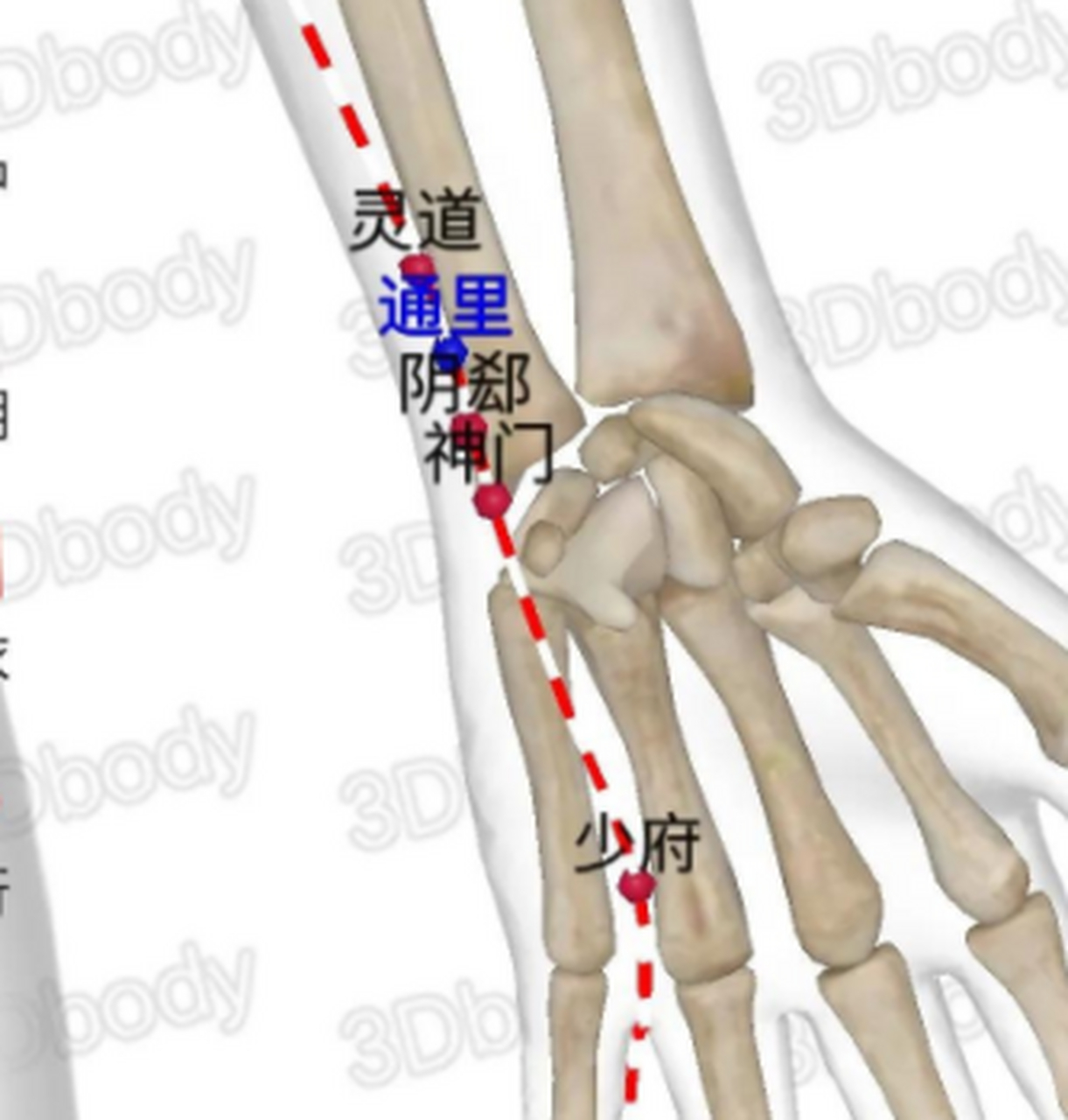 痛经(dysmenorrhea)是指女性在月经前后或月经期出现下腹疼痛,坠胀
