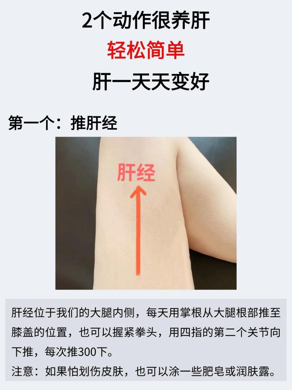 大腿内侧经络图 肝经图片