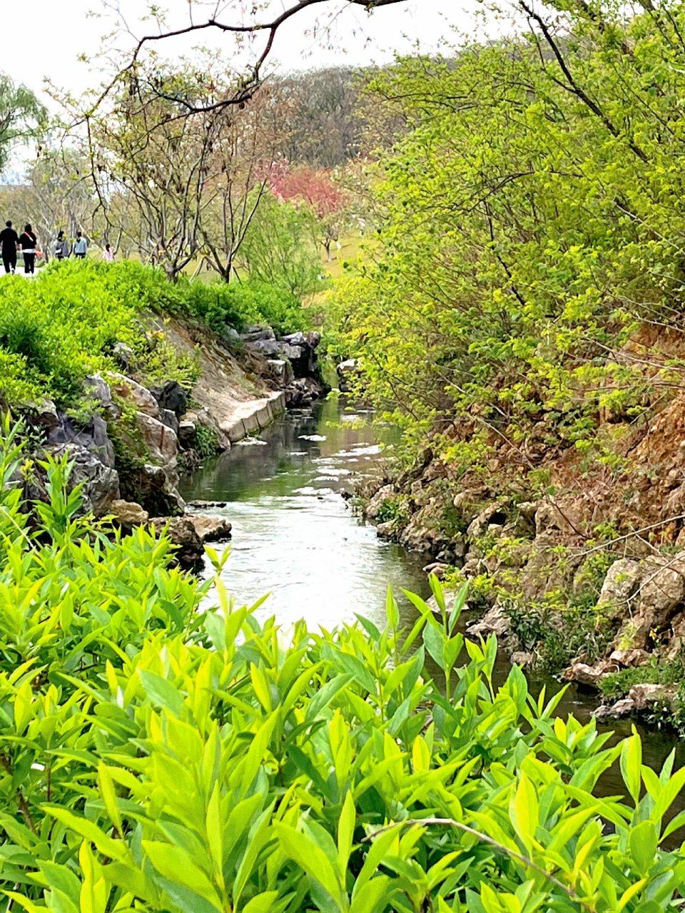 找到了南京的"小京都"野餐推荐 仙林的羊山湖是被南京市民遗忘的珍珠