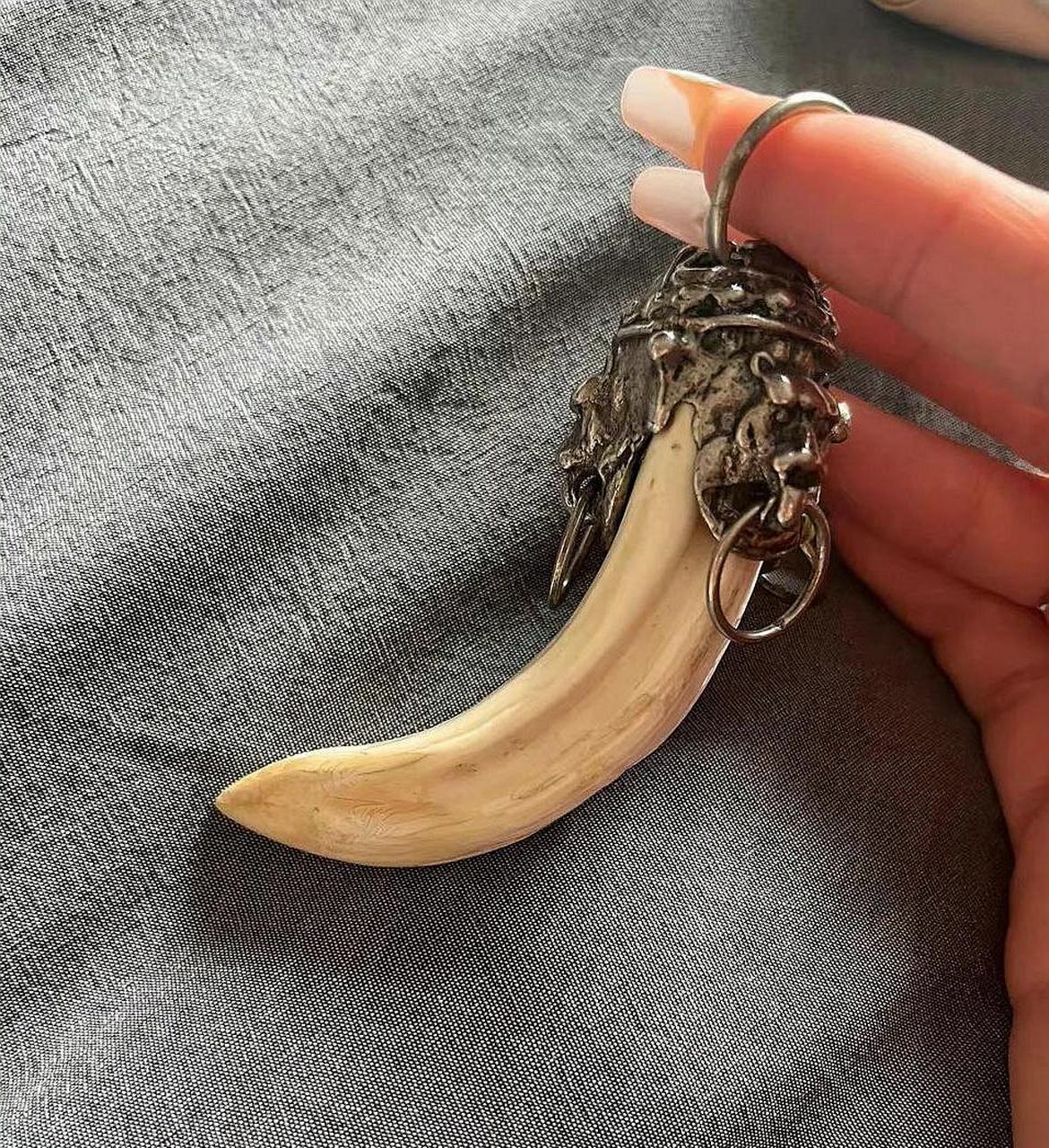男朋友送给我的,他说这个是老虎的牙,挺值钱的