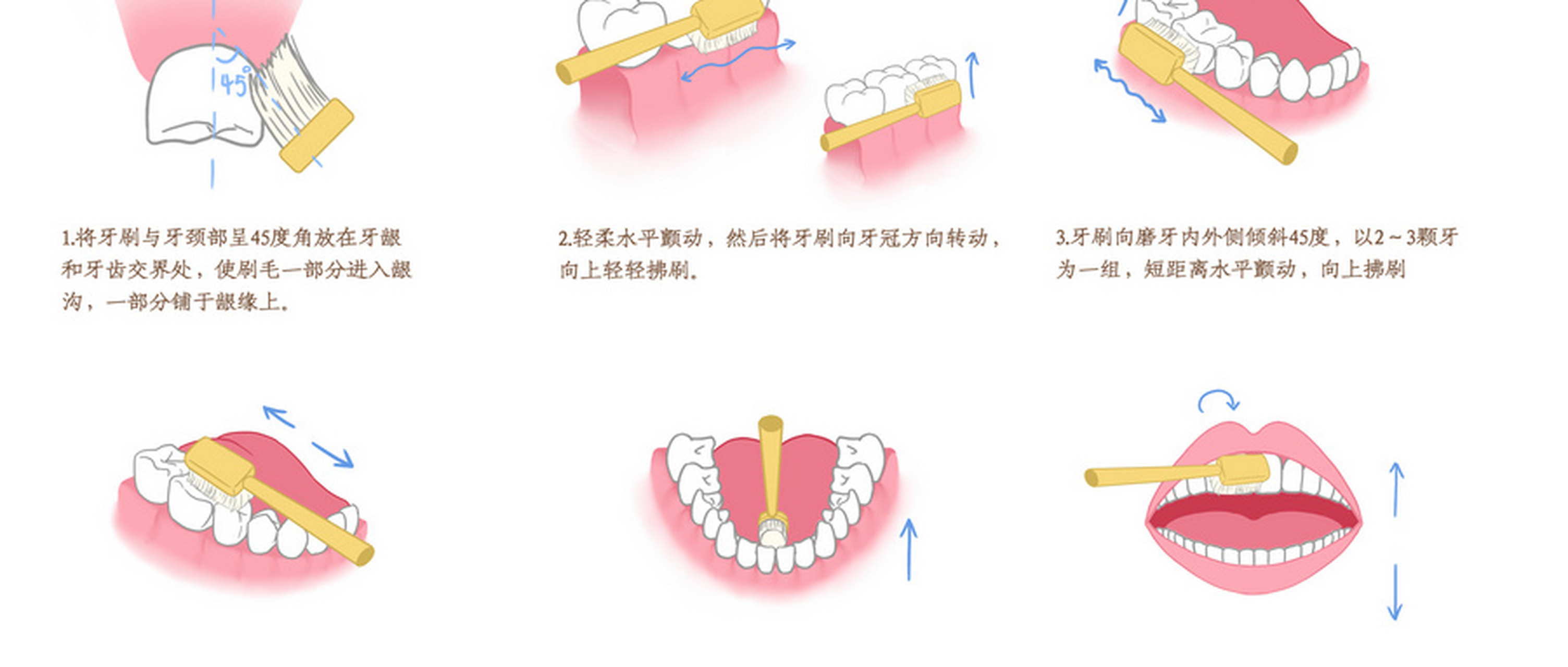 【为什么刷牙方法不正确会导致牙齿损坏 我们的牙齿表面是无机盐,它