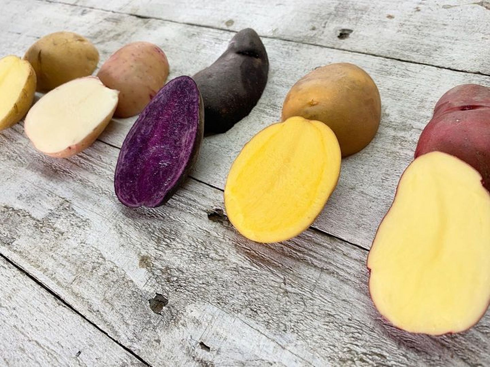 转基因土豆是通过基因工程技术对土豆进行修改和改良得到的一种土豆