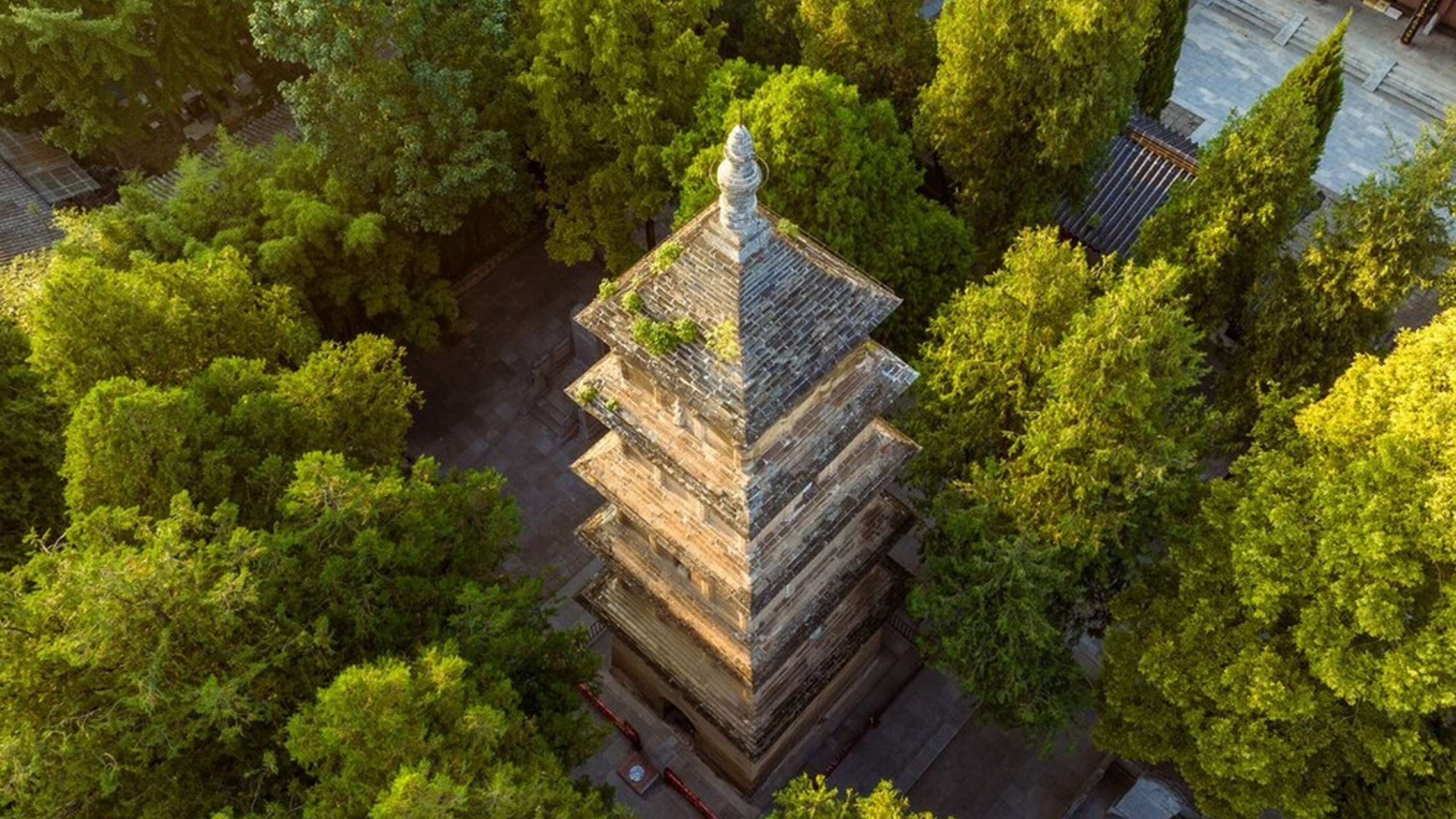 西安兴教寺塔图片