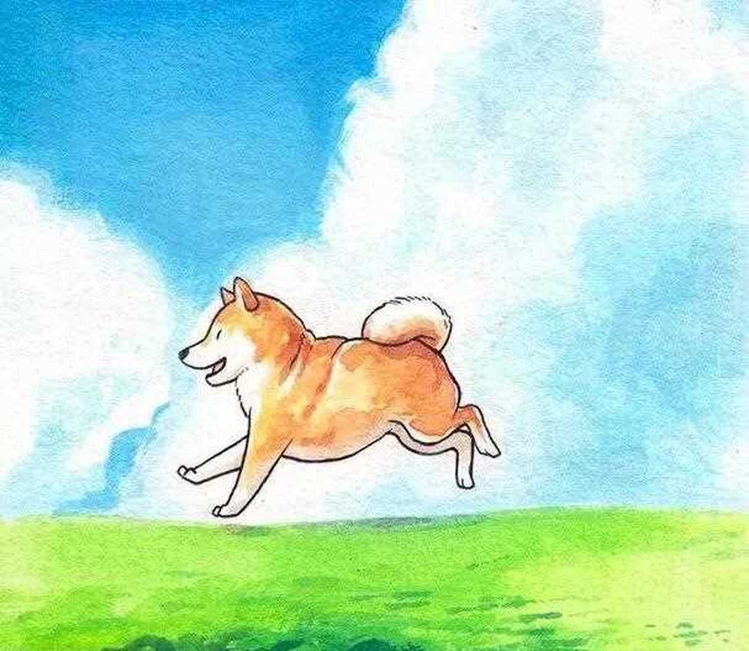 插画师笔下,欢脱又可爱的小柴犬们小柴犬们