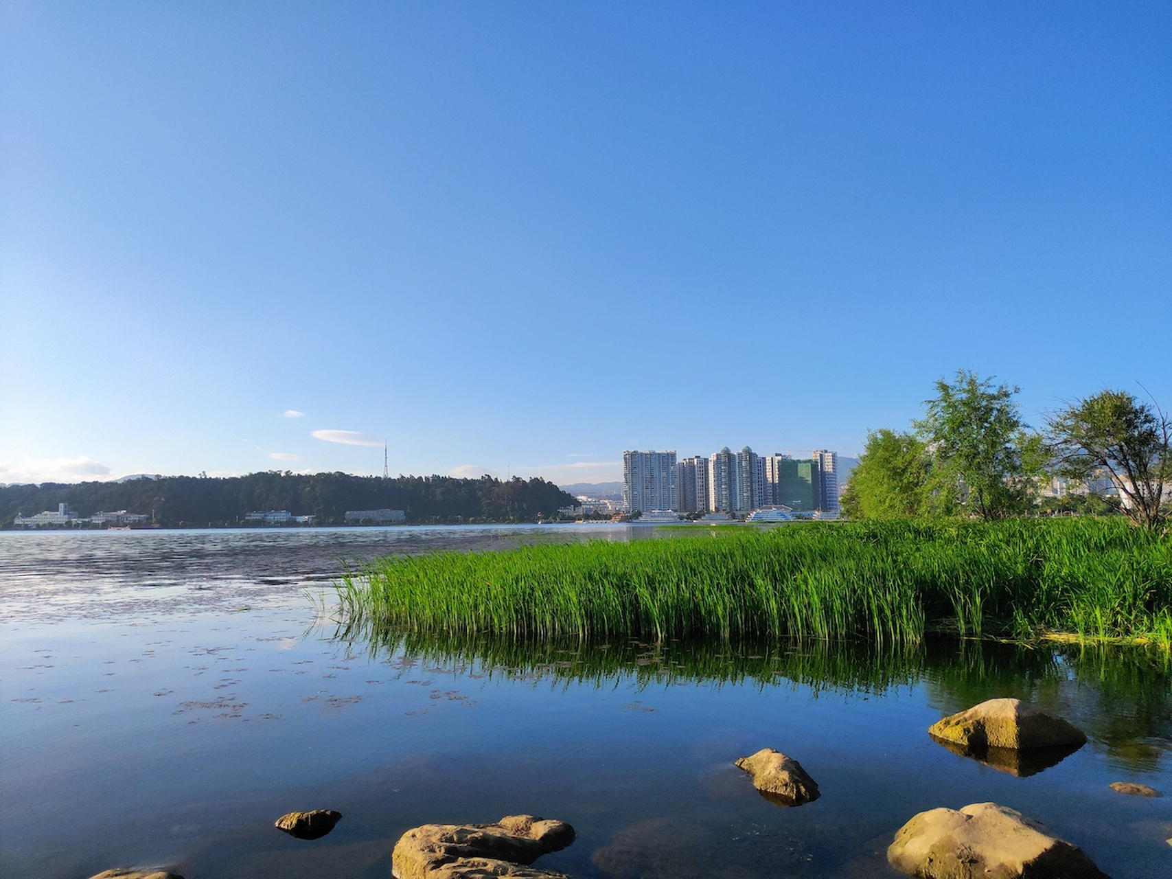 云南大理,洱海月湿地公园.