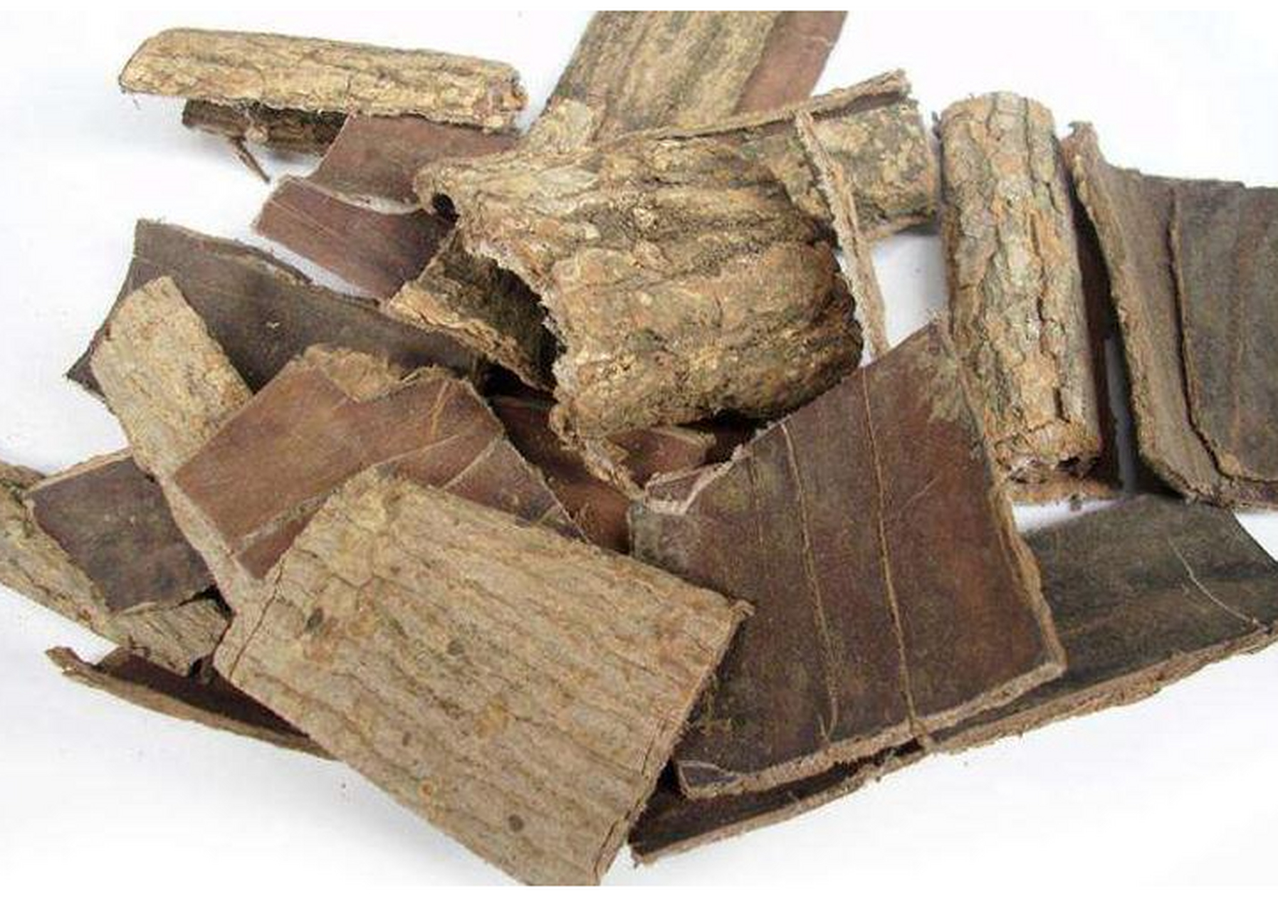 一味中草药,专治腰椎间盘突出!