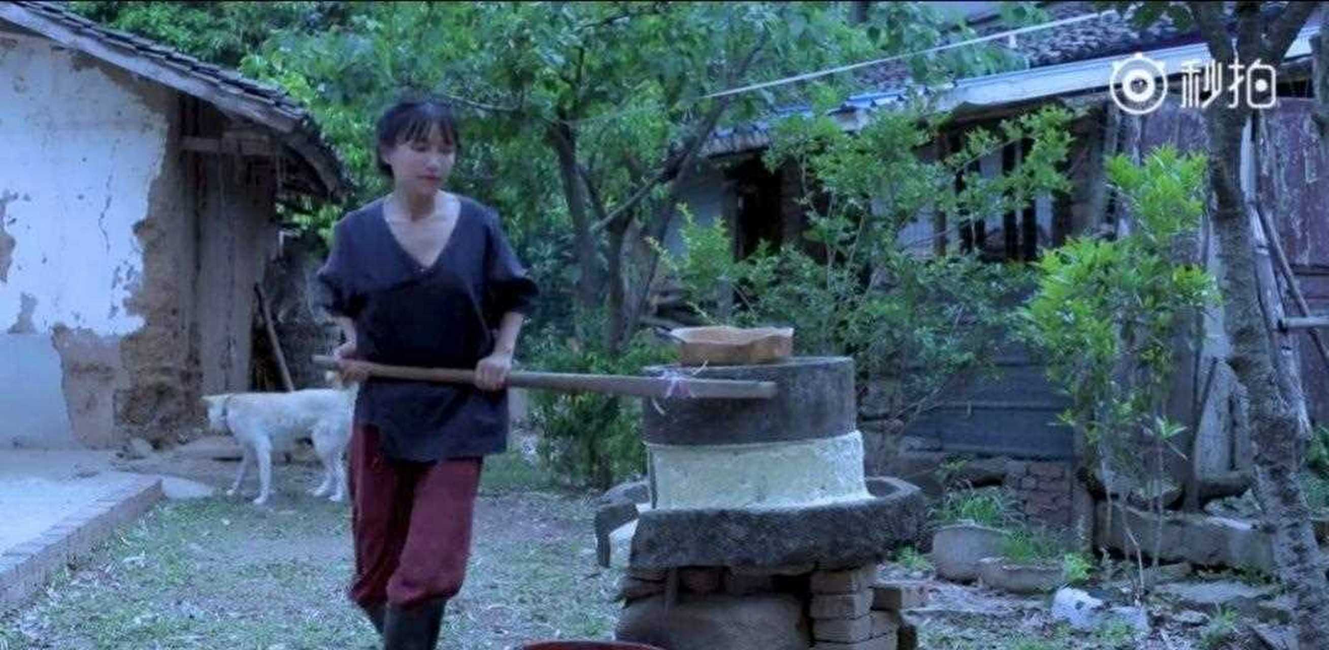 著名网红李子柒此前刚刚宣布全球粉丝过亿,就有网友指出,李子柒视频中