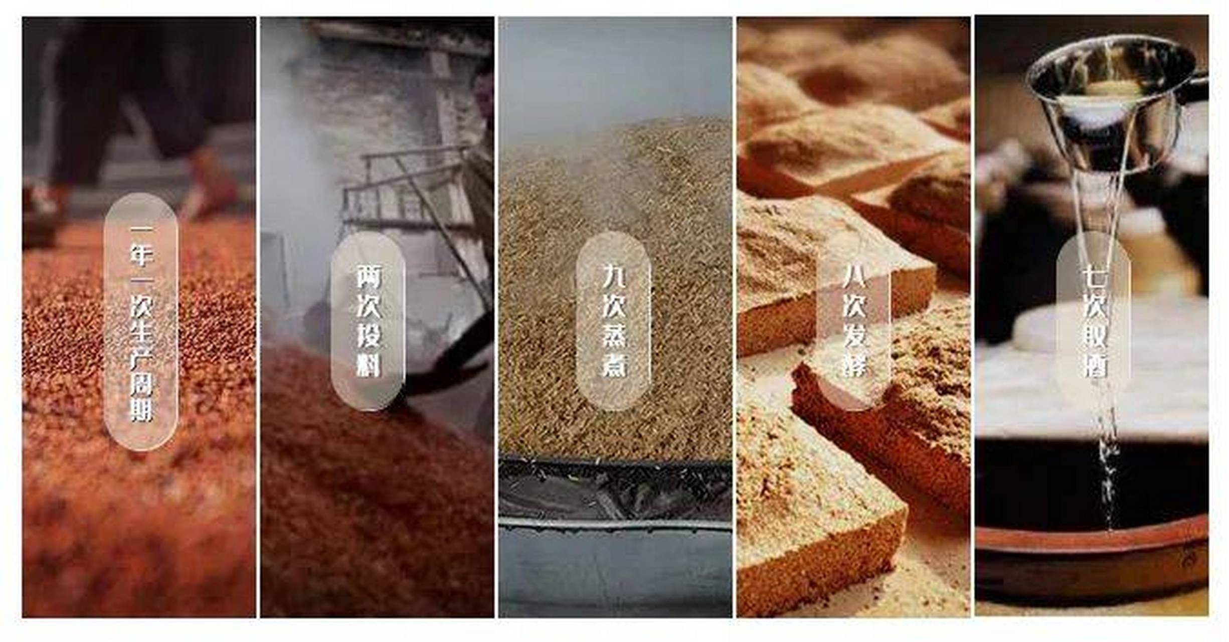 坤沙酱香酒工艺#传统工艺酿酒# #白酒# #品质祥康#  酱香酒工艺复杂