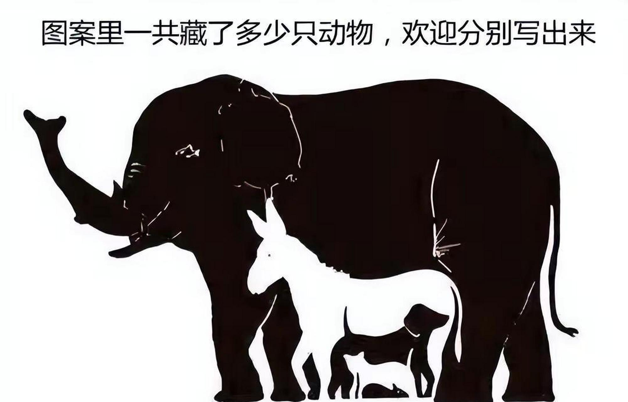 你能看出来下面这张图,里面有几个动物吗?快来评论区里留言给我吧.