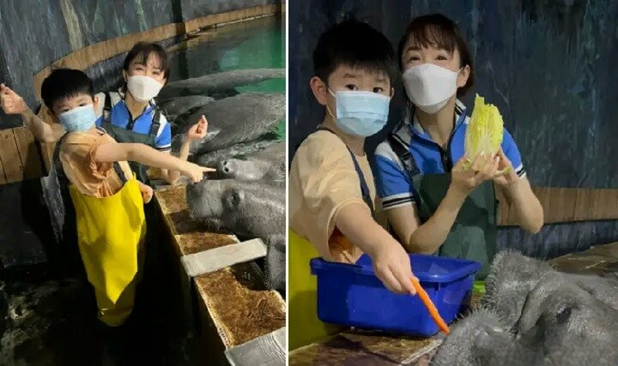 51岁范文芳晒泳装照庆祝节日,高龄产子被宠成公主 有着新加坡四美称号