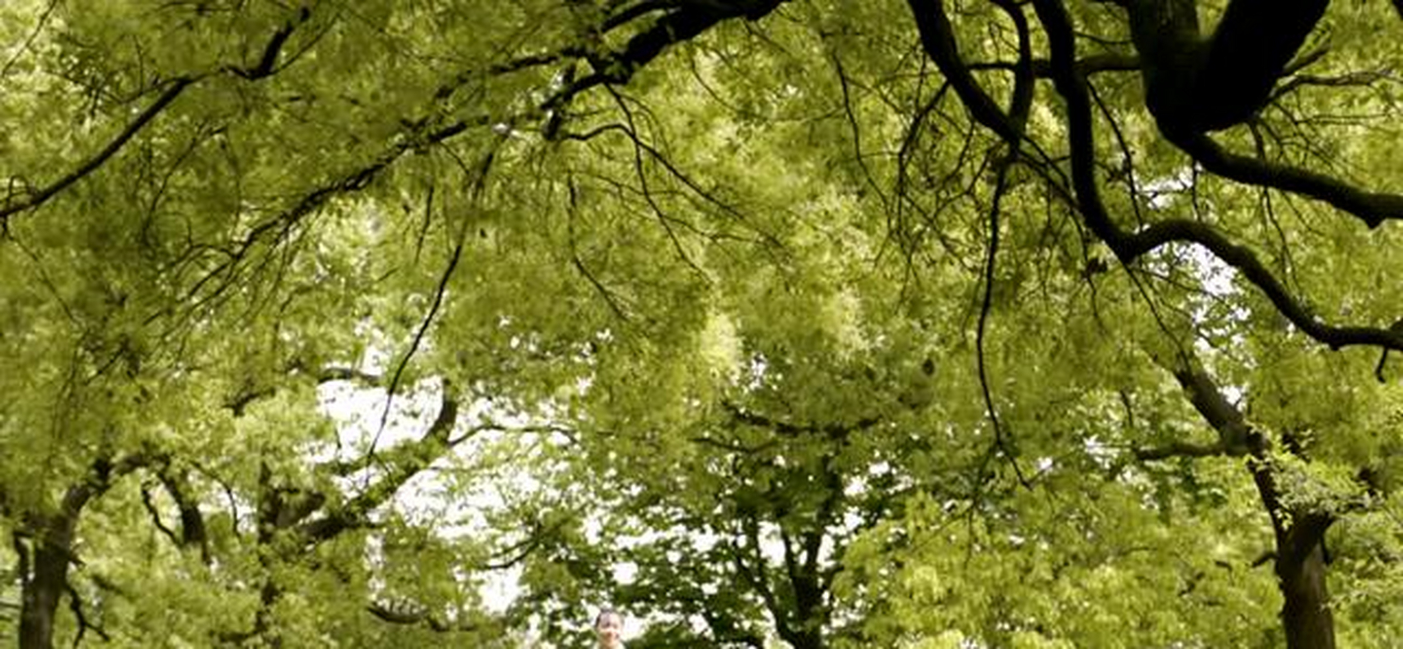 电视剧觉醒年代柳眉扮演者张思乐剧照图片