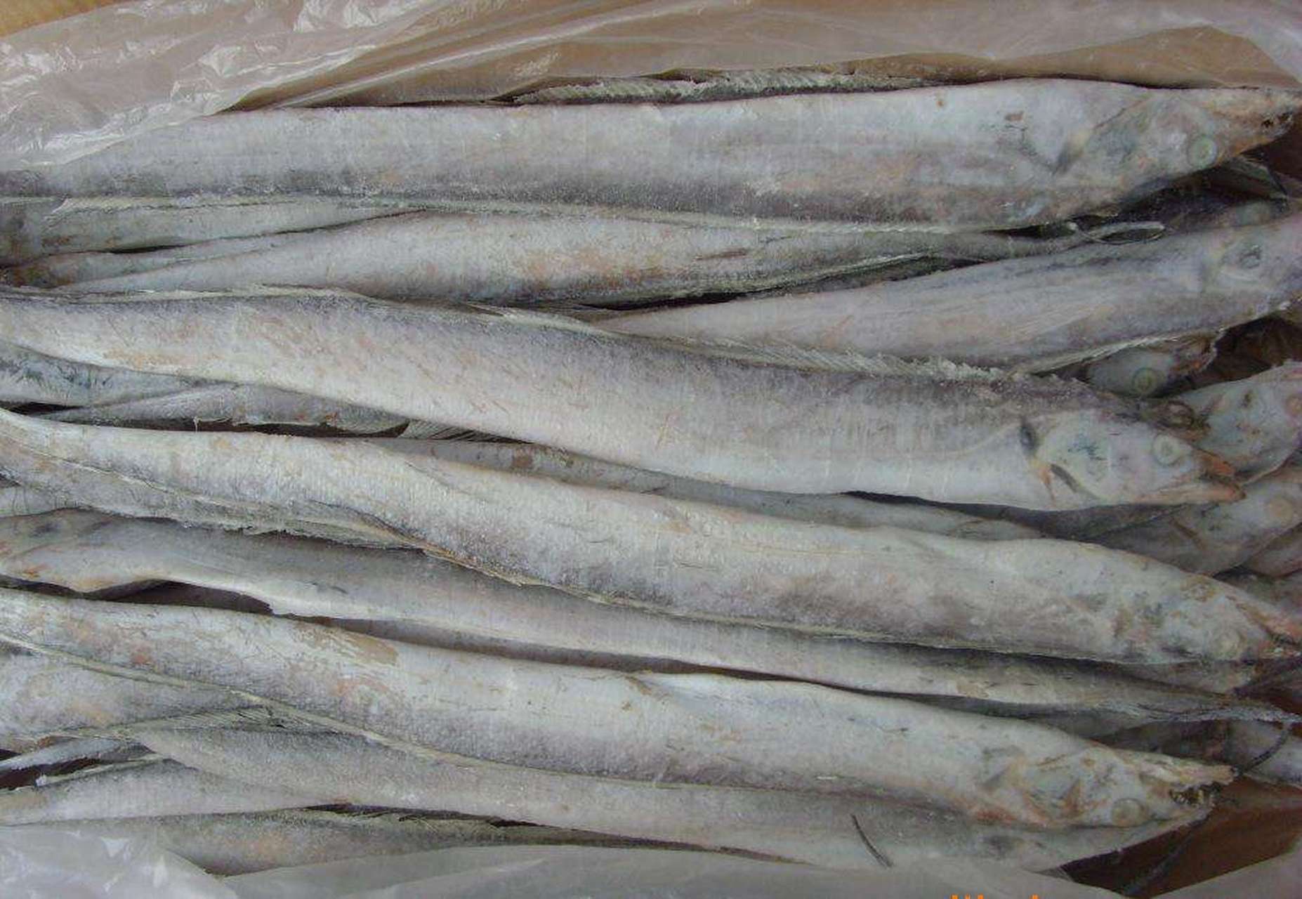 印度尼西亚进口的1批冻带鱼1个外包装样本上也检出了新冠病毒核酸阳性