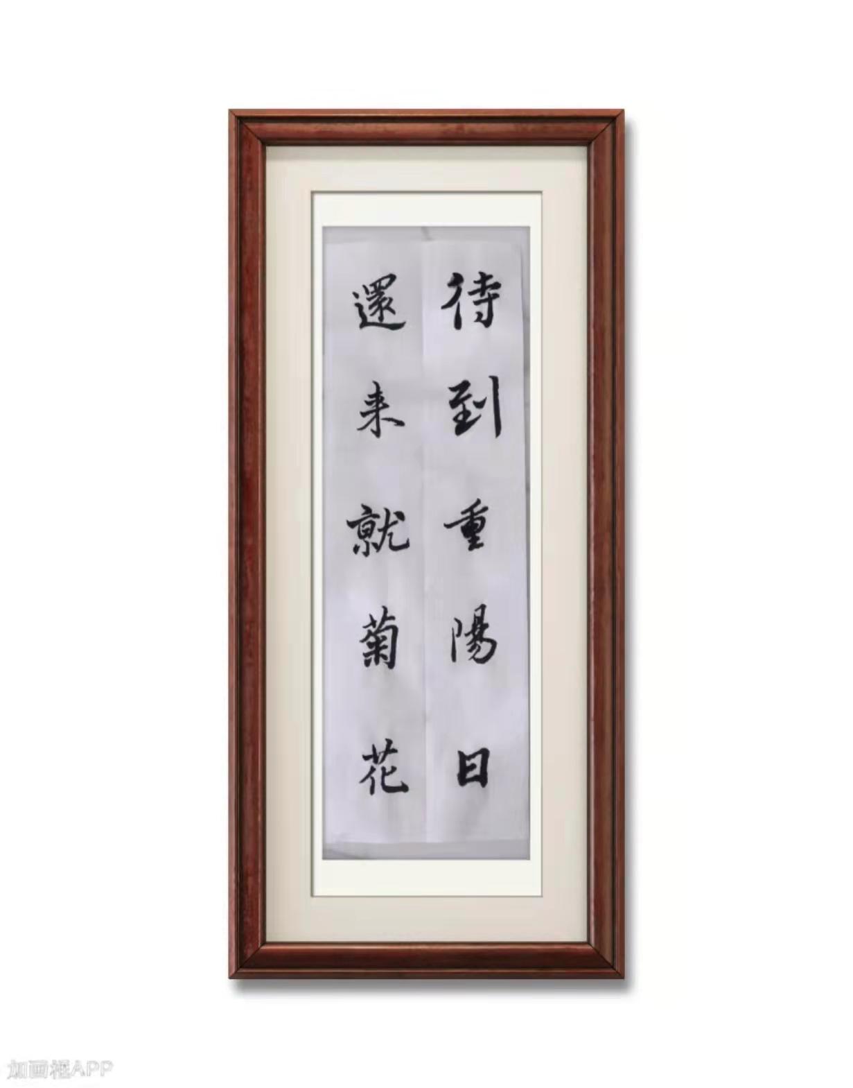 行书书写孟浩然的诗句 "待到重阳日,还来就菊花"是唐朝诗人孟浩然《过