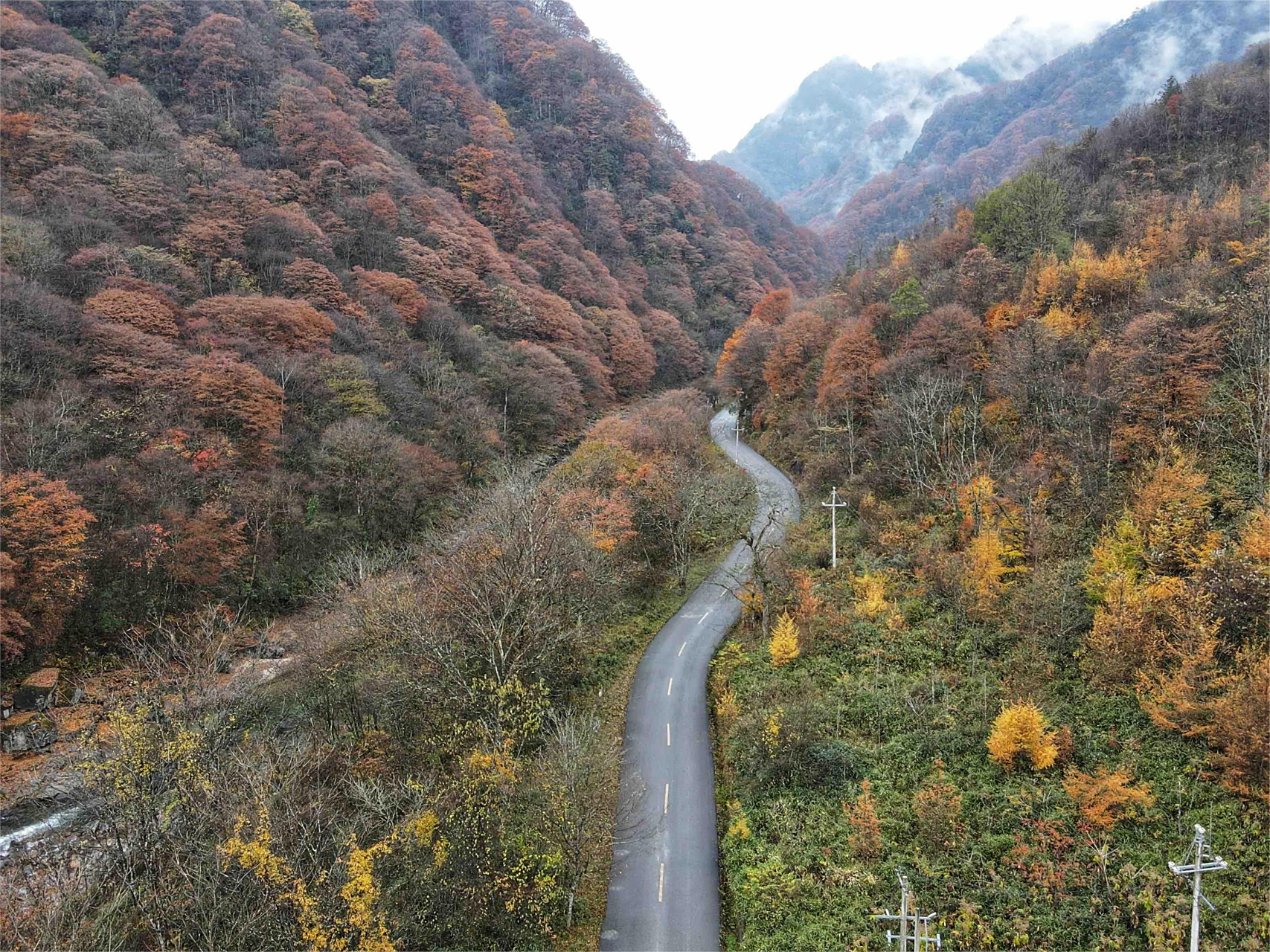 巴中市南江县的米仓山森林公园吧!