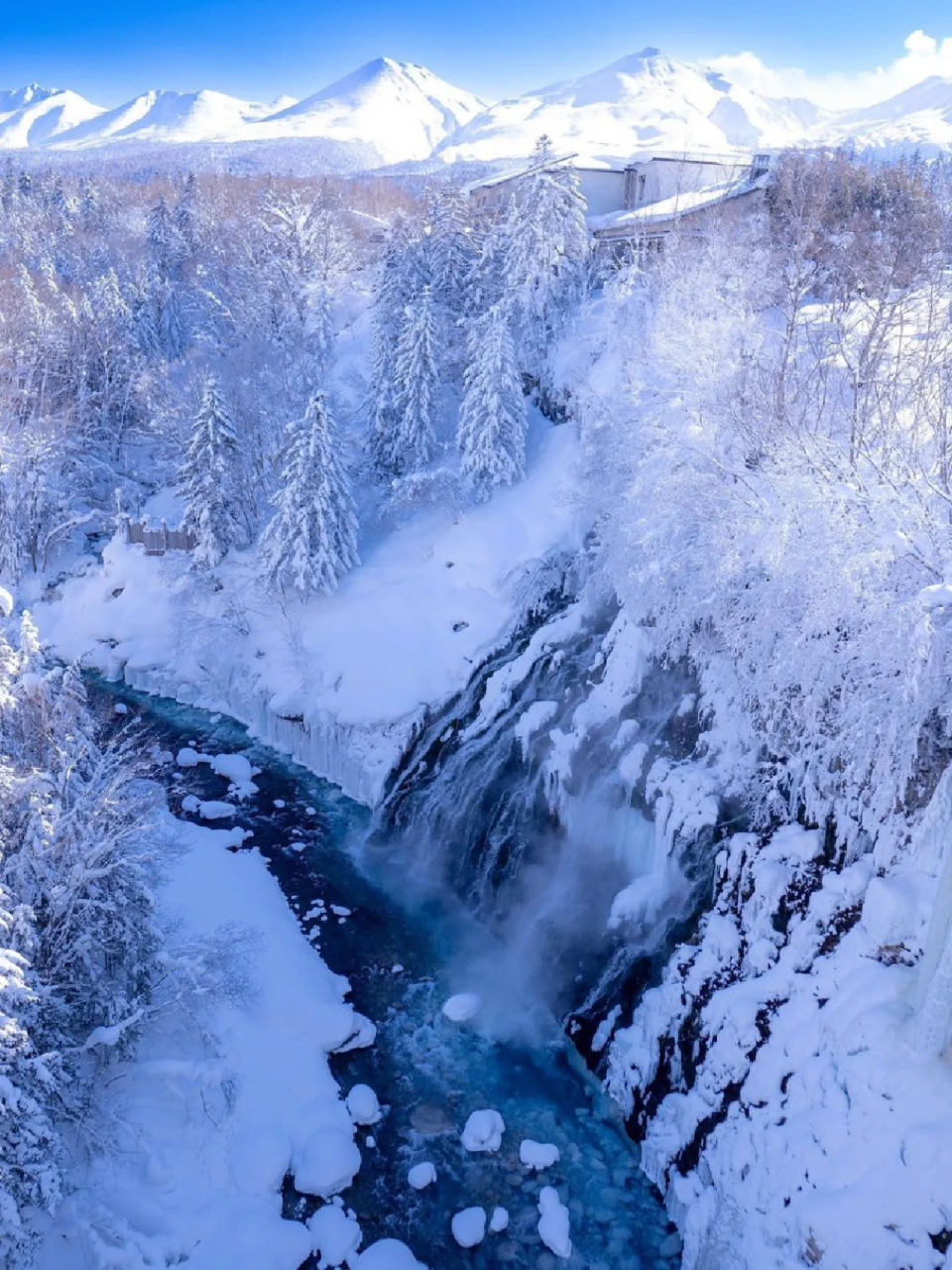 北海道雪景 唯美图片