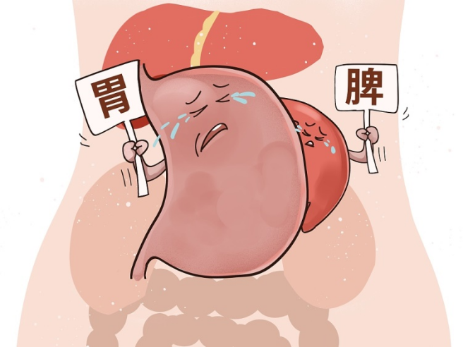 身体好不好,脾胃说了算,警惕脾胃差的8个表现  身体的健康状况与脾胃