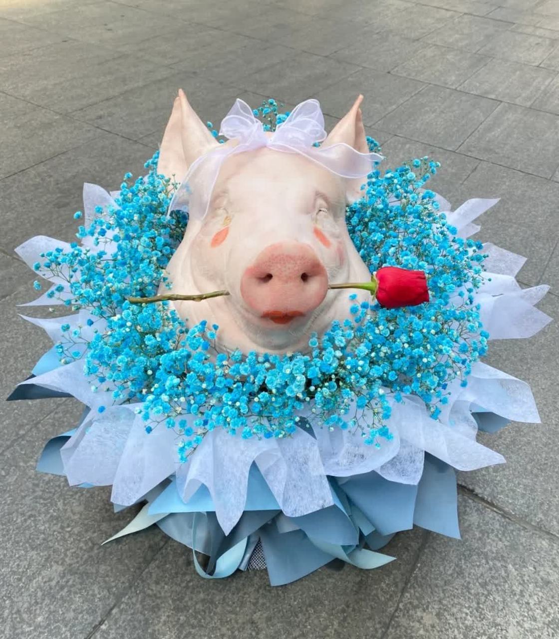 闺蜜喜欢吃猪头肉,今天又是她的生日,送她一朵猪头花吧!