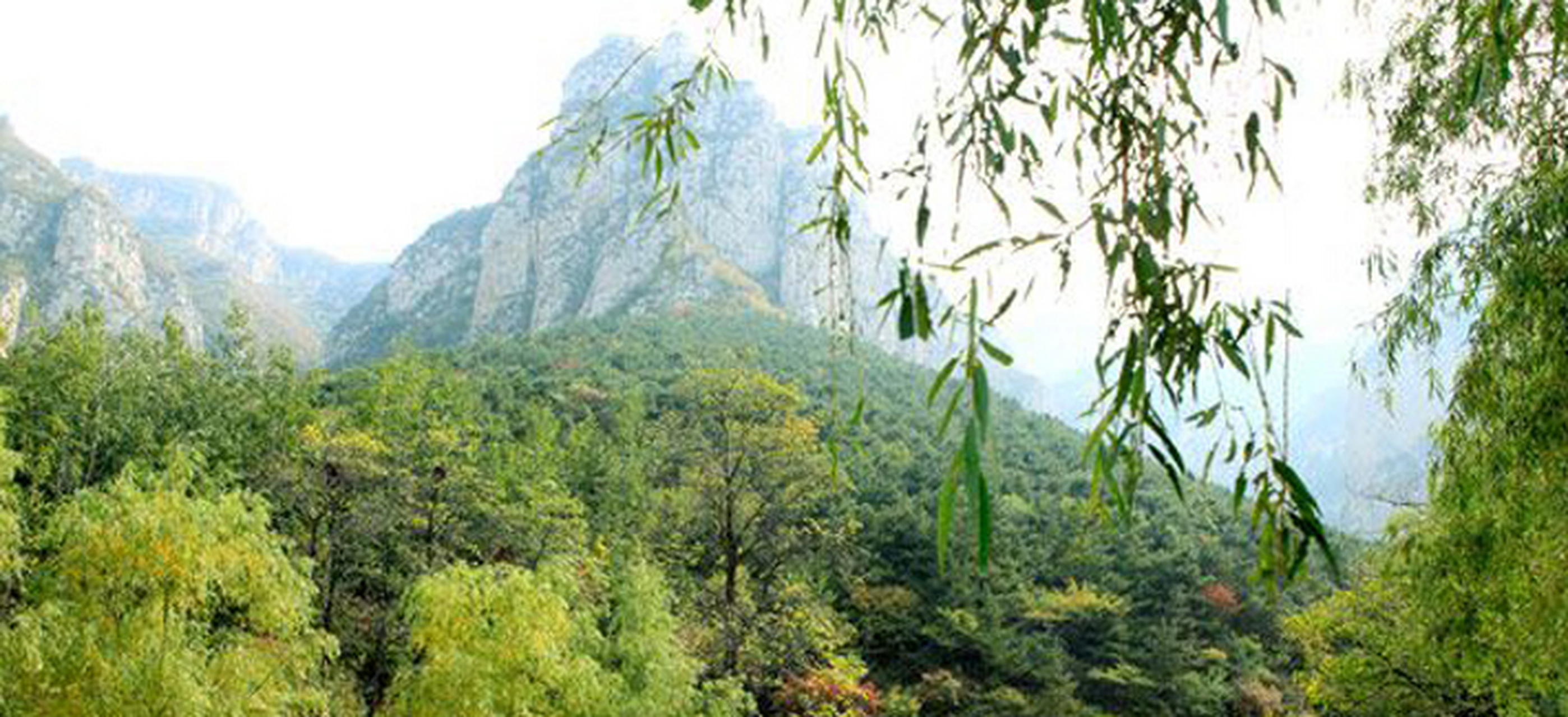 这个地方就是坐落在巩义的五指山景区.