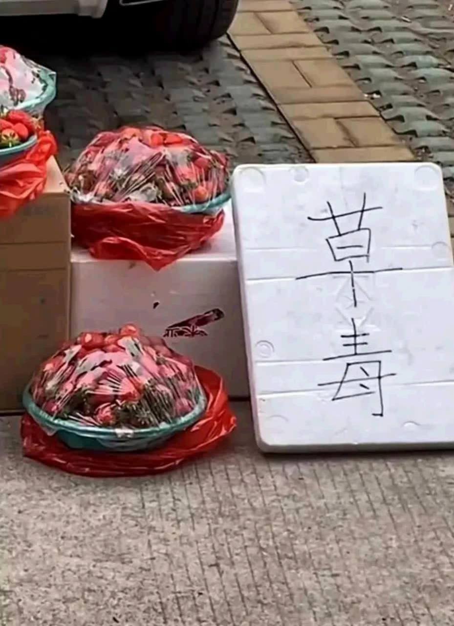 一种叫"草霉",一种叫"草毒". 不知道味道如何![左捂脸]