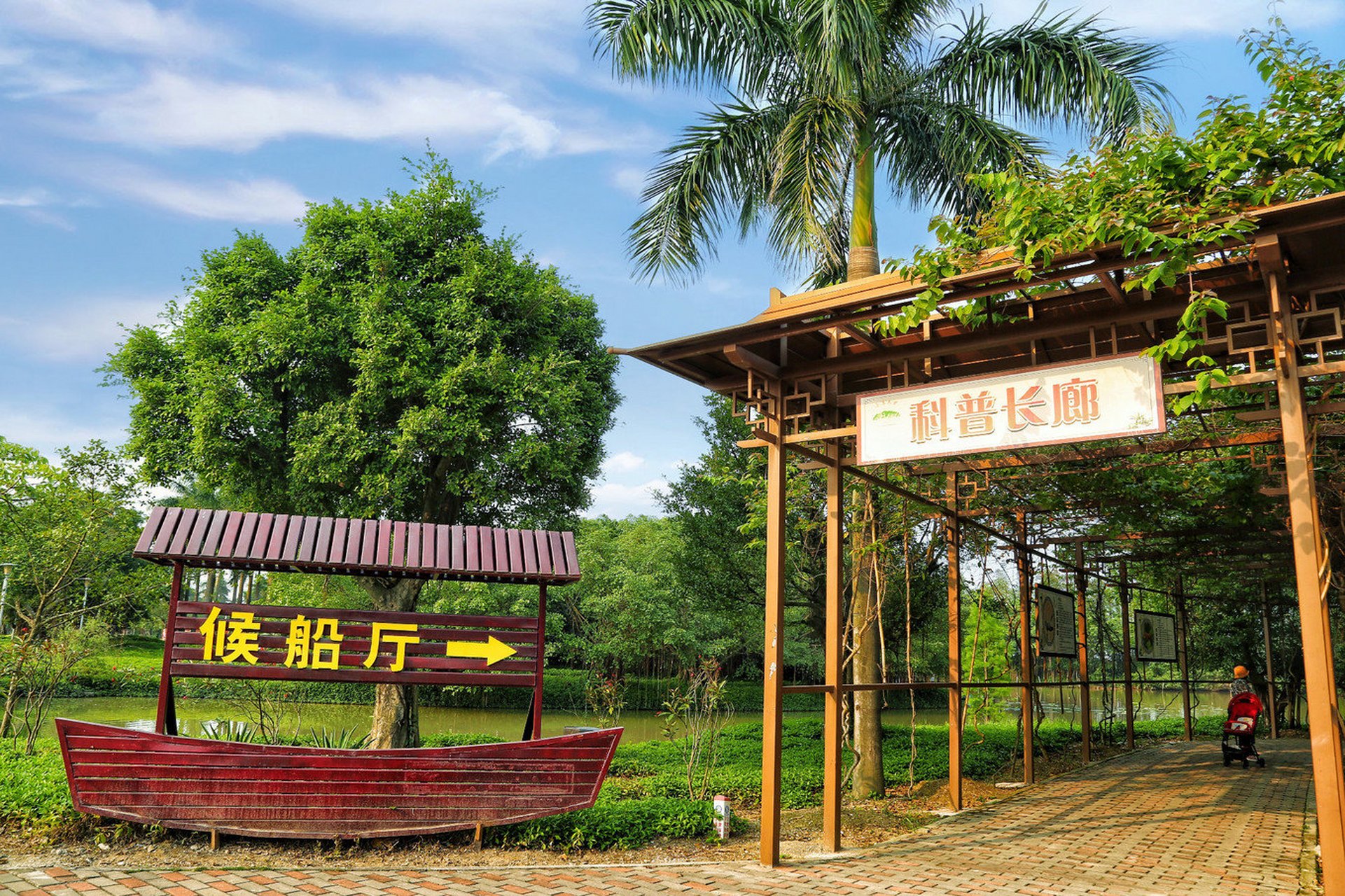 江门景点——小鸟天堂 "小鸟天堂"又名"鸟的天堂",是一个以独特的鸟类
