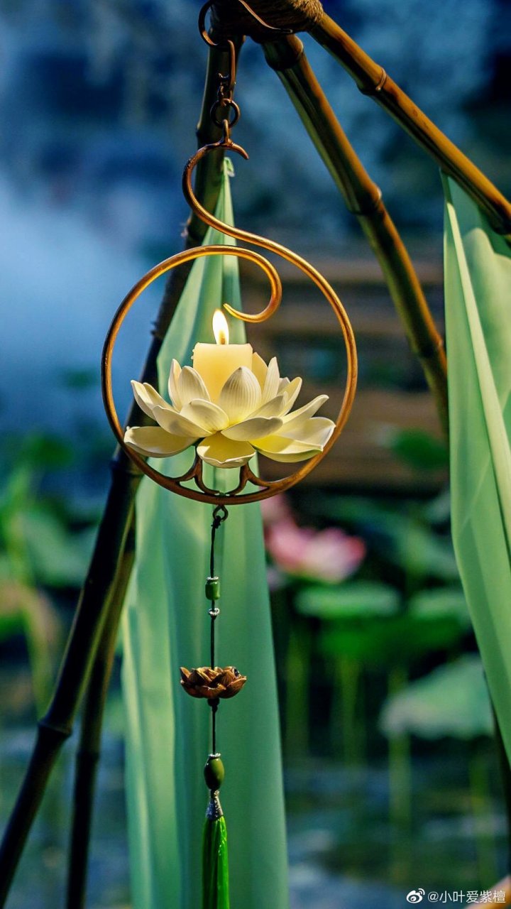 《春草香》合集一:相遇. 青葱岁月,现代.