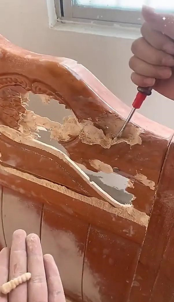 一条蛀虫就把我整个床咬坏了,要怎么惩罚它呢?