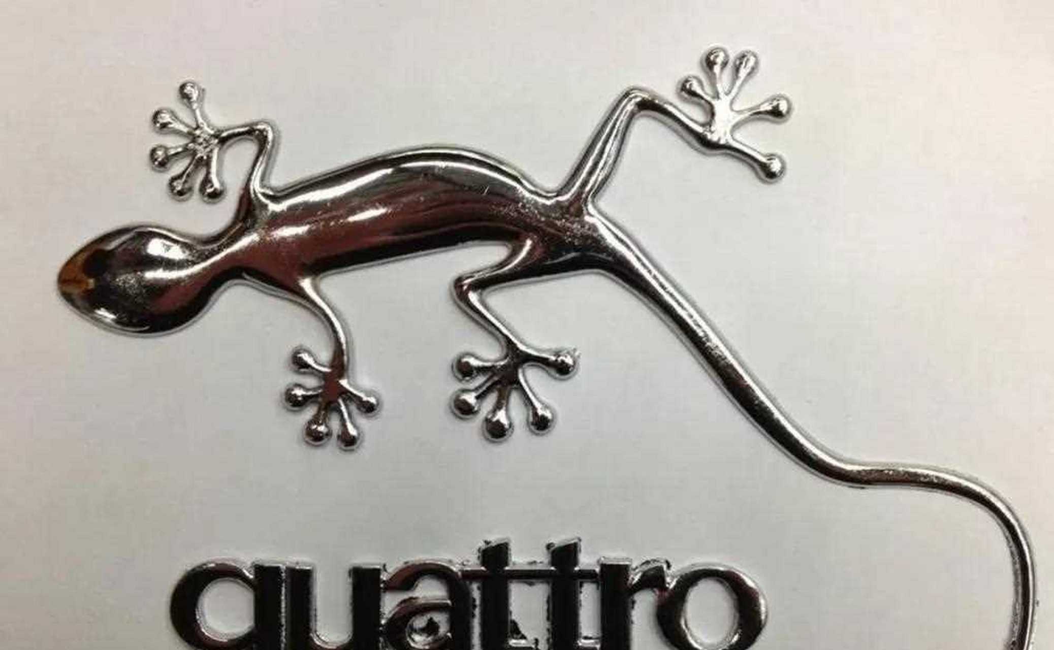 车内进壁虎了怎么办? 这难道就是传说中的quattro?