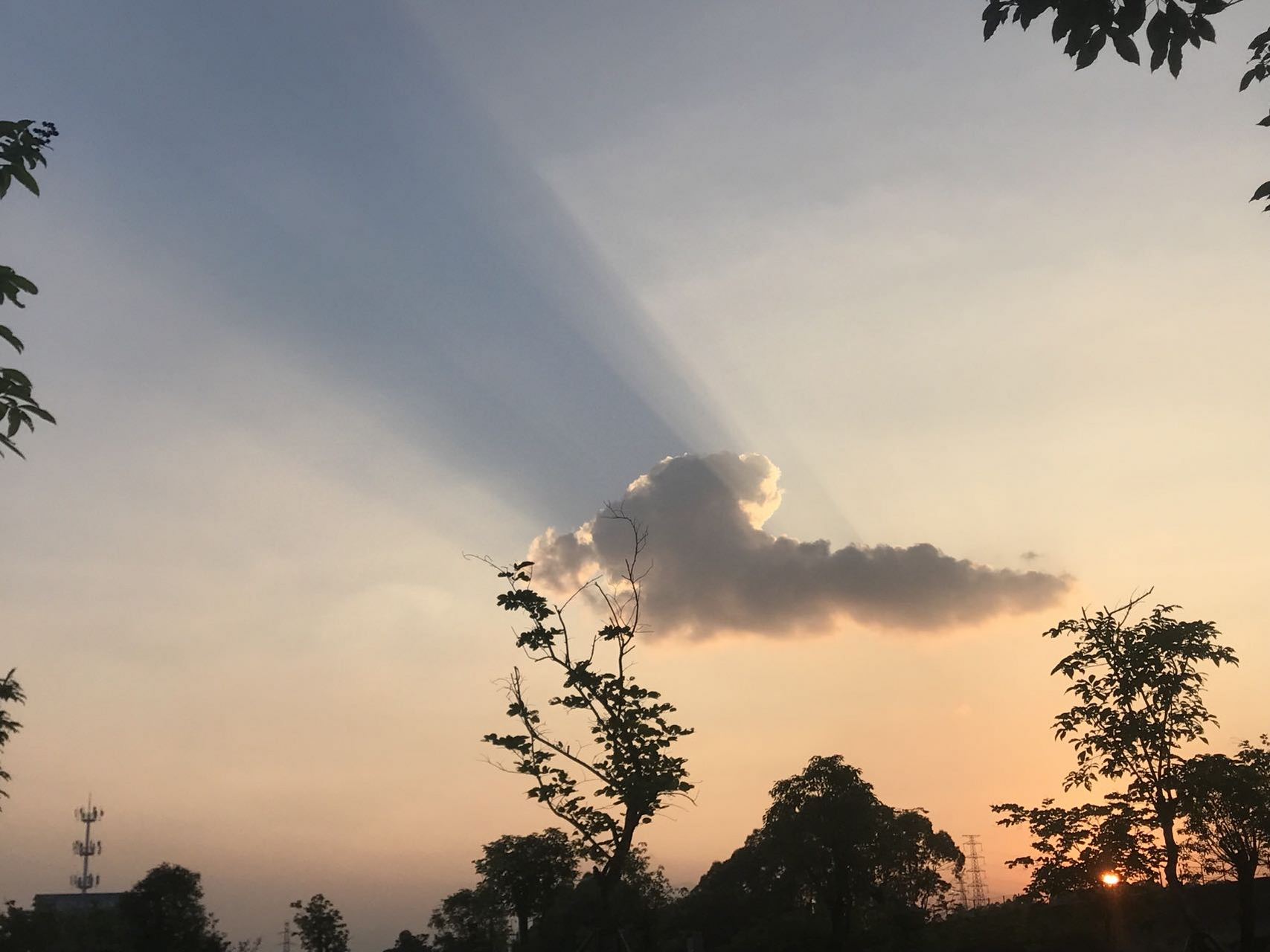 从垂直入射光方向可以观察到胶体里出现的一条光亮的"通路",丁达尔