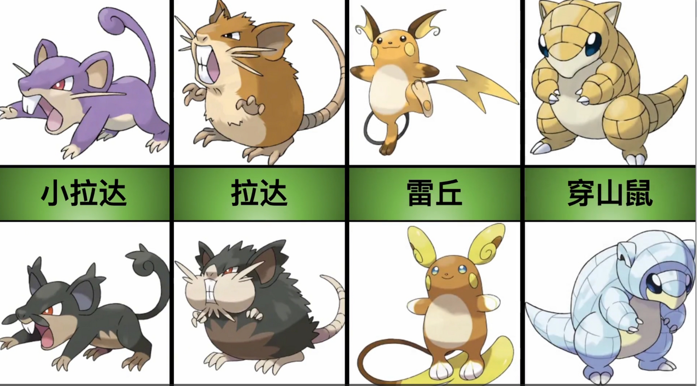 宝可梦日月:17只宝可梦在阿罗拉地区的样子,你喜欢哪只?