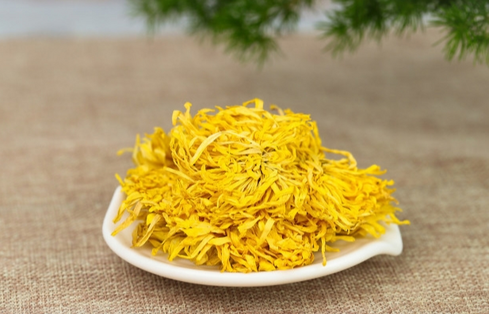 菊花巧搭配,清肝泻火养心安神,让你快速入睡  第一个:菊花 桑叶 功效