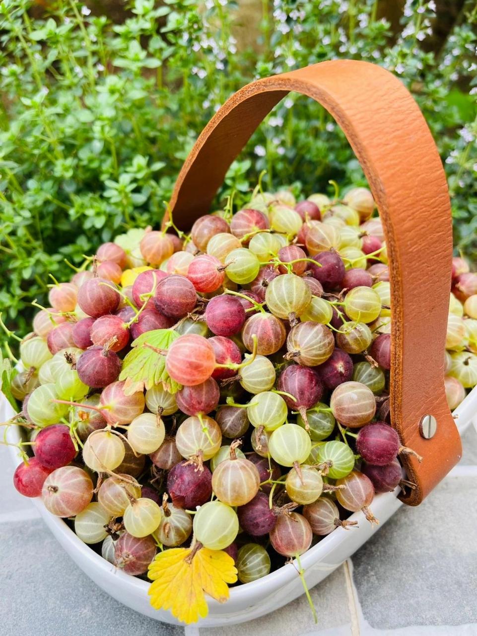 灯笼果,你吃过吗?