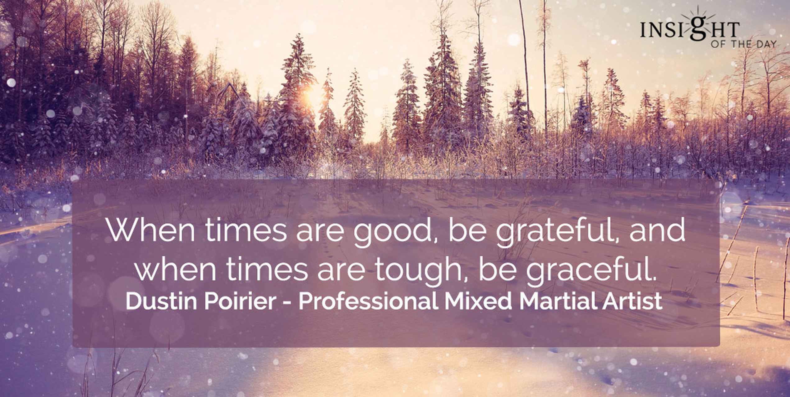 英语每日一句# when times are good, be grateful, and when times