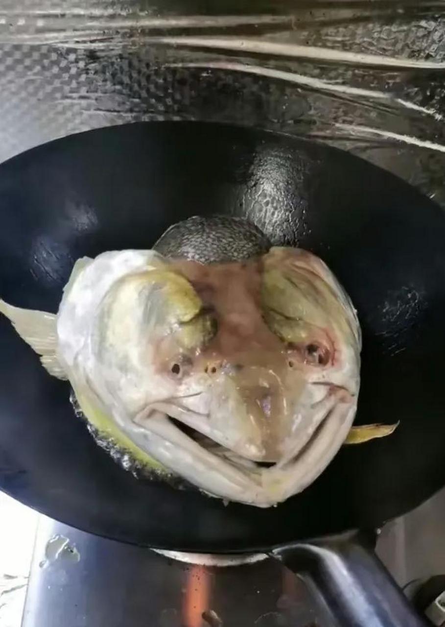 寻思做个剁椒鱼头,需要注意什么? #搞笑趣味图