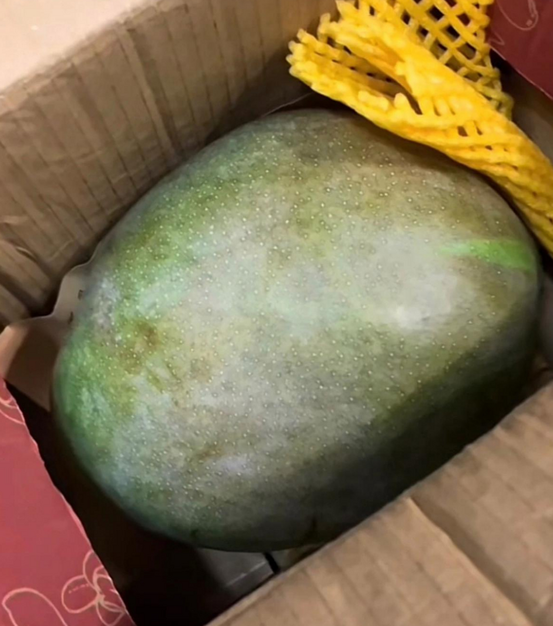 网上买的芒果,说是发了五斤,称了一下的确是五斤,好像没毛病!