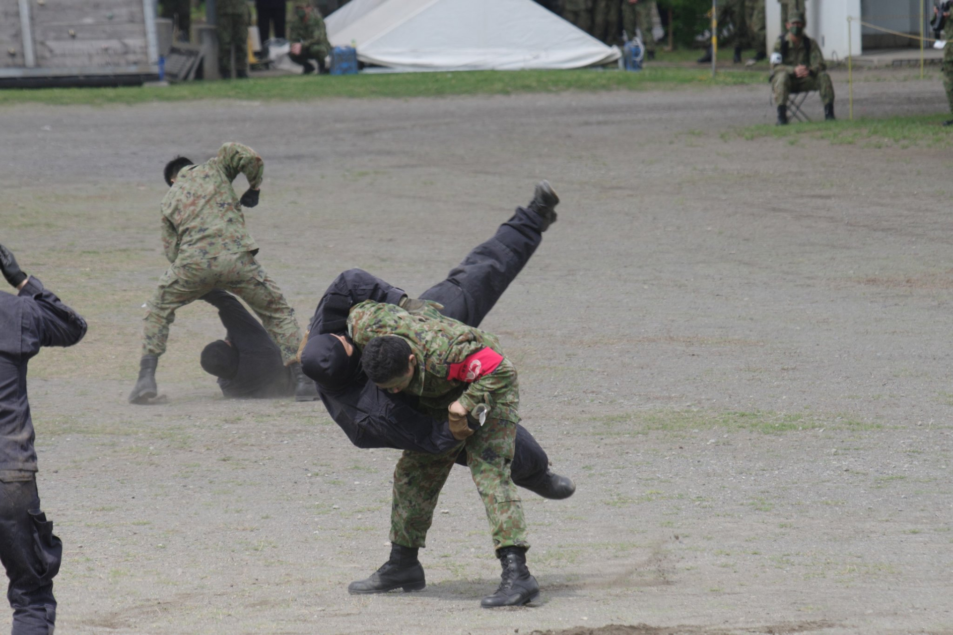 日本陆上自卫队徽图片