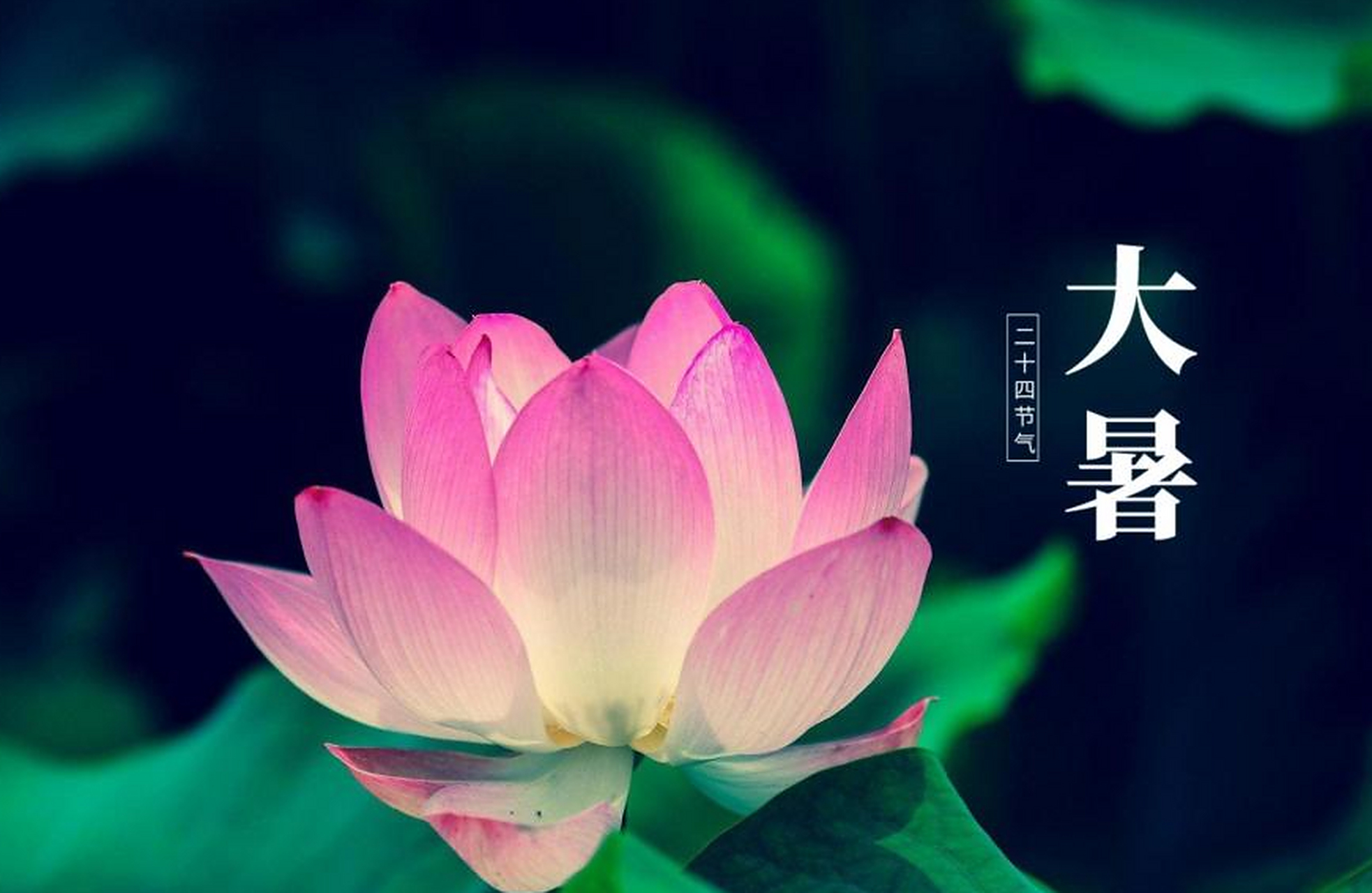 今日大暑节气,要注意这些  大暑三防: 1,防强光 2,防暑湿 3,防阴暑