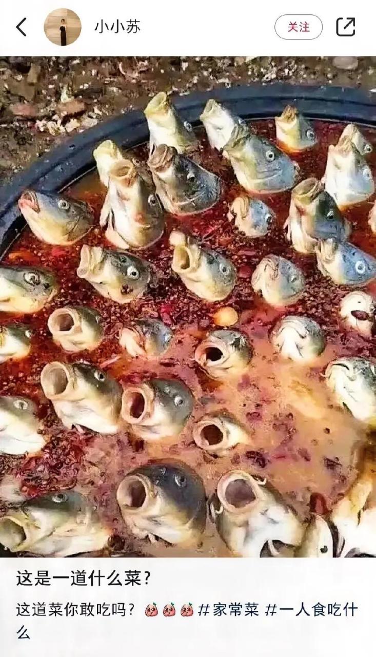 取个菜名仰望星空?百口莫辩?异口同声?