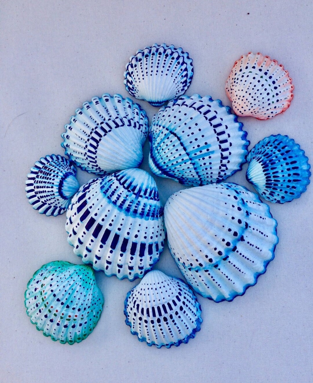 吃完的扇贝壳别扔,陪孩子一起做手工  餐盘上的扇贝已化为腹中诗篇,而