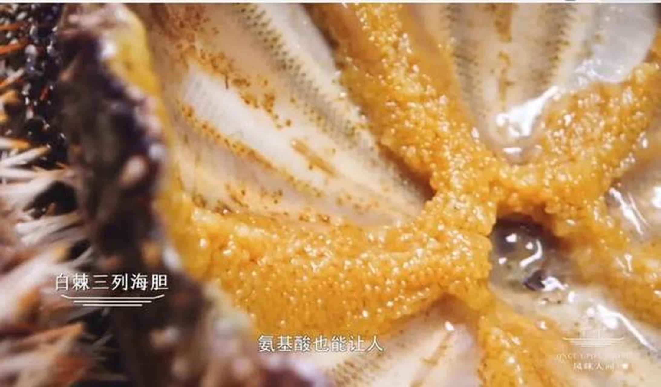 这种海胆,只有再海洋中生存. 富含丰富的游离氨基酸,滋味甘甜.